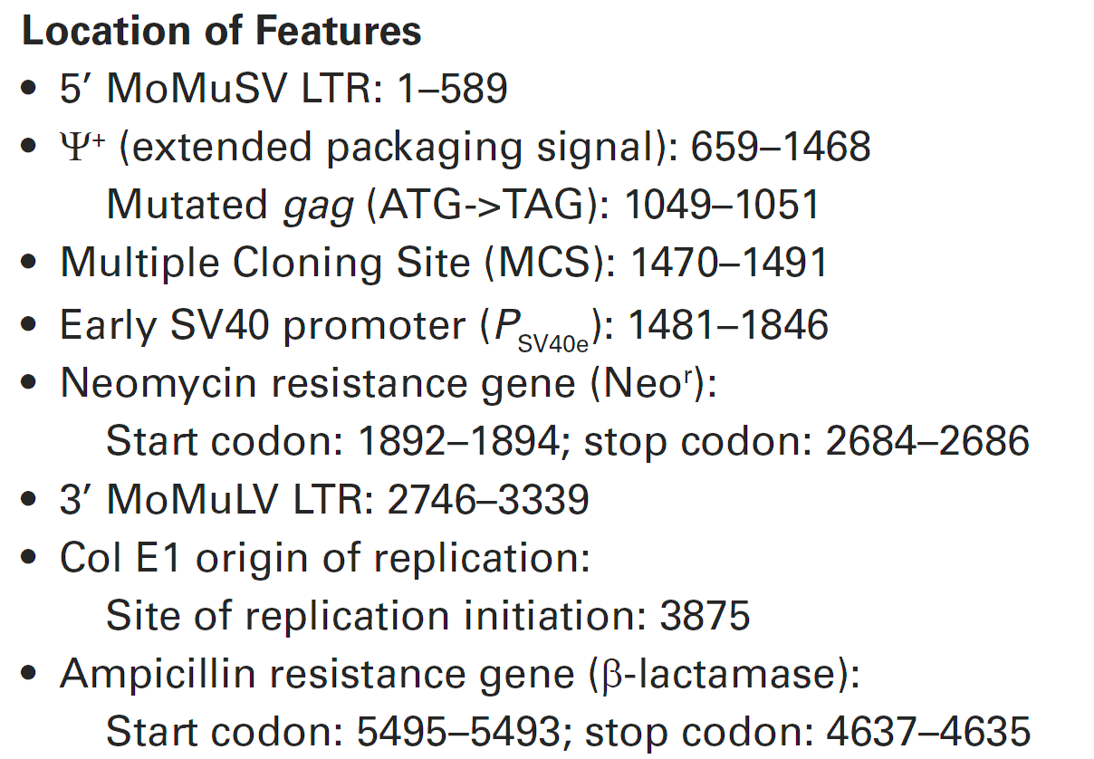 pLXSN 载体特征